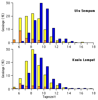 Siamang (S. syndactylus) und Weisshandgibbon (H. lar): Verteilung der Gesnge