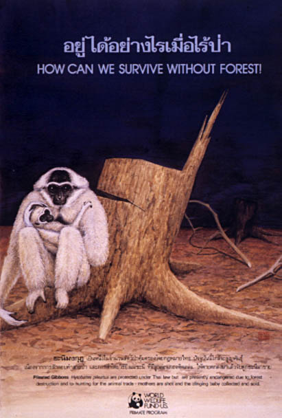 WWF-Poster mit Kappengibbon des thailndischen Knstlers K. Komolphalin (ca. 1983)